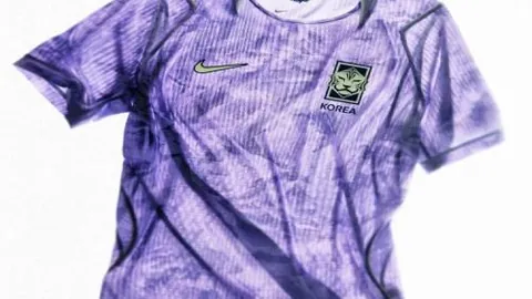 雄狮队亚足锦标赛半决赛不敌越南队0-2败北